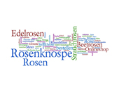 Rosen Wordle