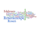 Nelken Wordle